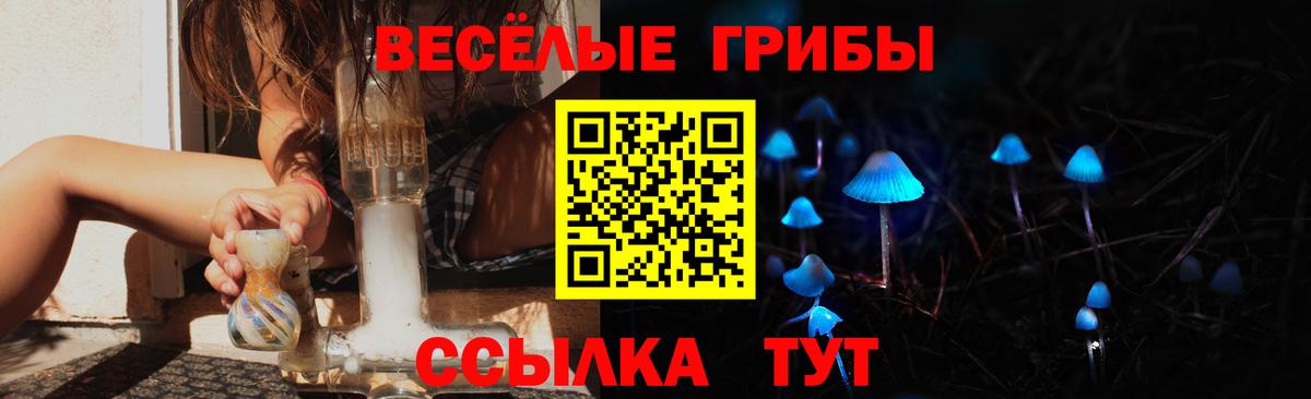 Осинники  Псилоцибиновые грибы Psilocybe  Вход с VPN 
